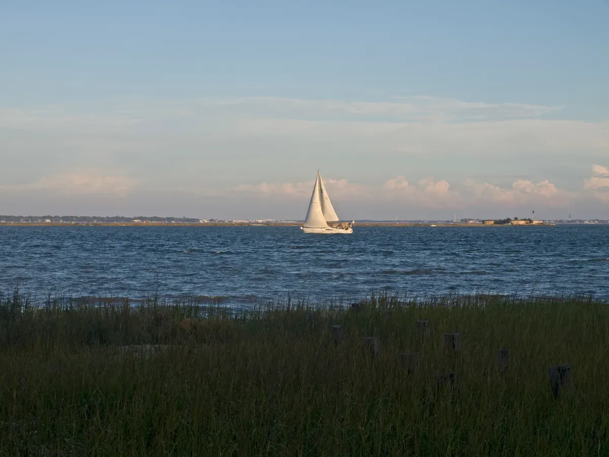 Sailboat on Charleston Harbor beyond salt marsh, the waters covered by a Charleston harbor history cruise