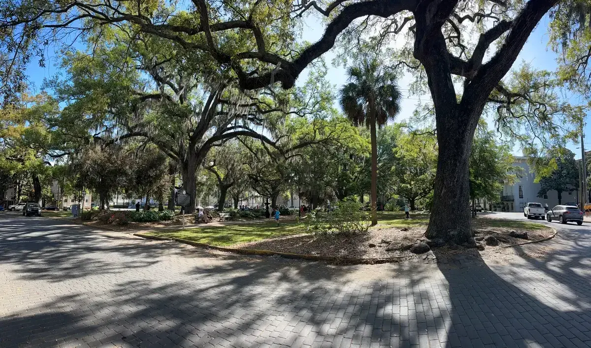 Live oaks in Lafayette Square, Savannah, the usual destination for a trip from Charleston to Savannah