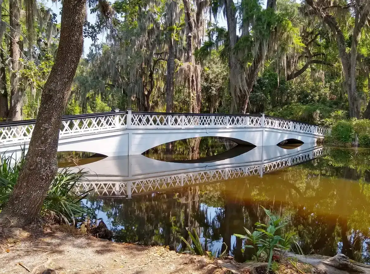 White Long Bridge at Magnolia Plantation and Gardens near Charleston