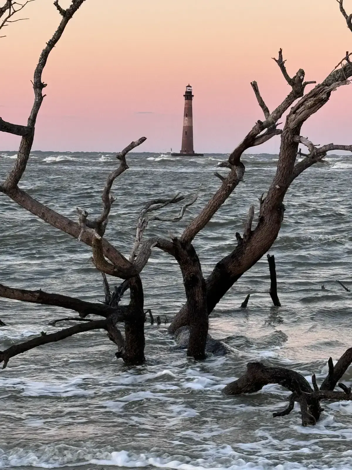 Morris Island Lighthouse at dusk behind driftwood on the beach near Charleston, on a Morris Island lighthouse boat tour