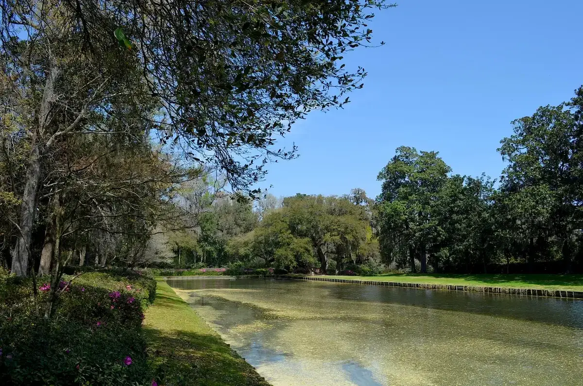 Middleton Place gardens and reflecting pool, one of the plantations near Charleston