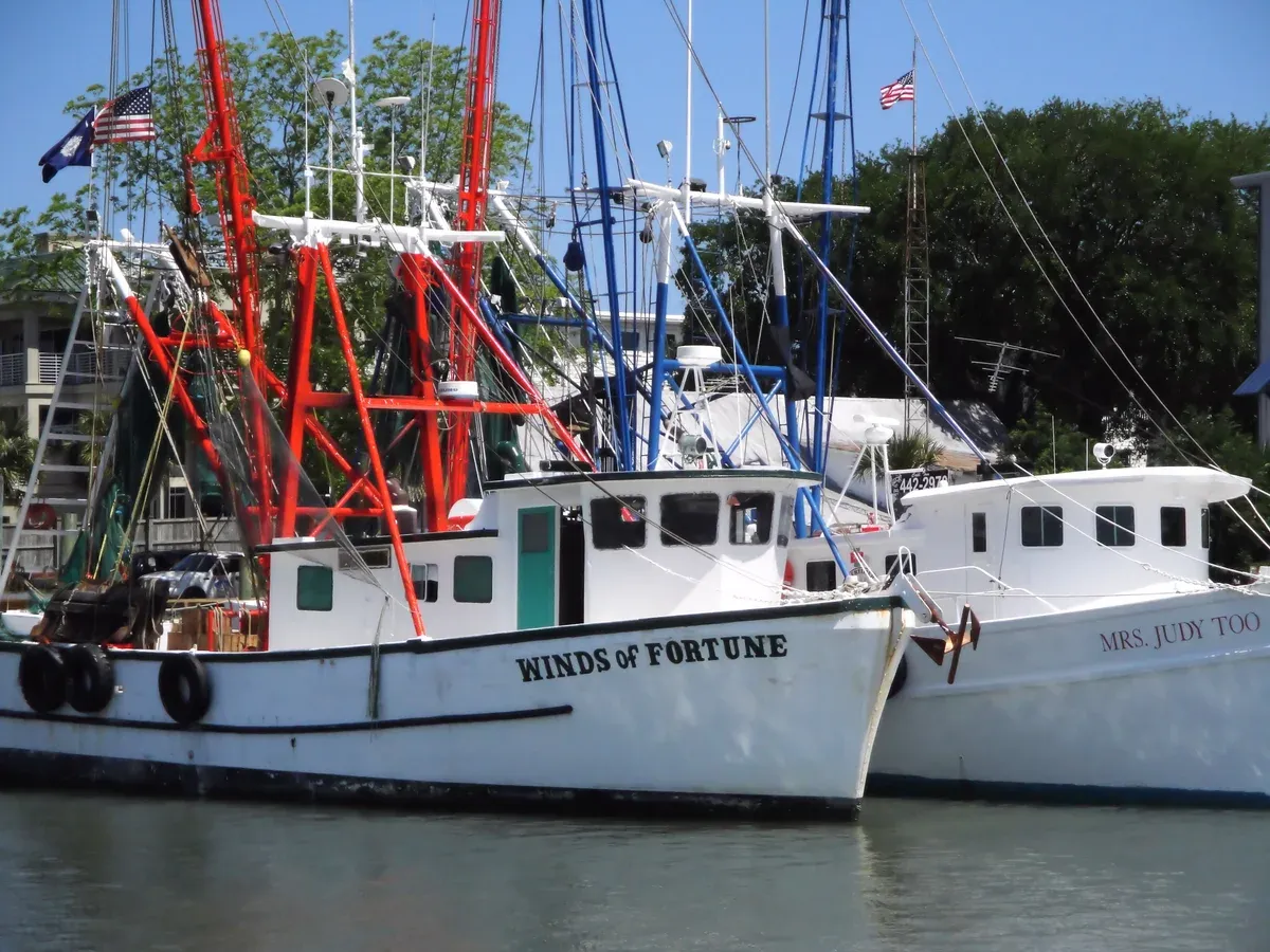 Shrimp boats moored at Shem Creek in Mount Pleasant, Charleston, on a Shem Creek sunset cruise